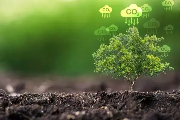 Court Nullifies IRS Rule Impeding Renewable Energy Tax Credits