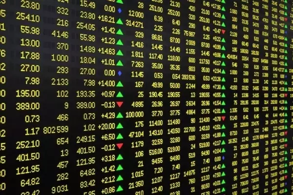 Mission Produce's Q2 Results & Market Movers