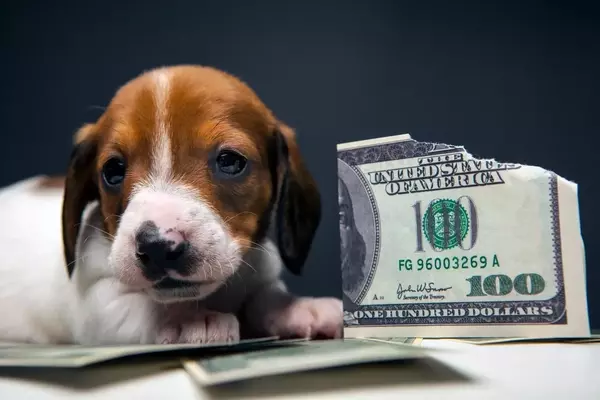Navigating Inflation: Beyond the Headline Numbers