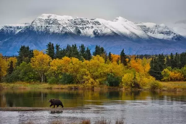 First National Bank Alaska: A Prudent Hold Amidst Emerging Risks