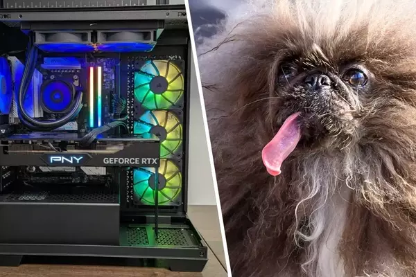 A Gaming PC's Unexpected Heroism