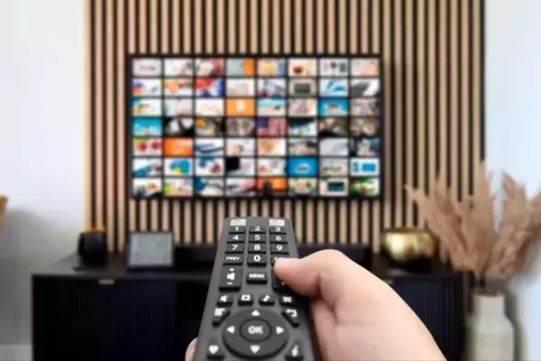 Netflix: A Premier Growth Stock Now at an Attractive Valuation