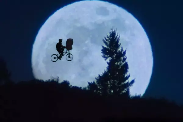 A Cinematic Journey: Exploring Steven Spielberg's Unique Filmography