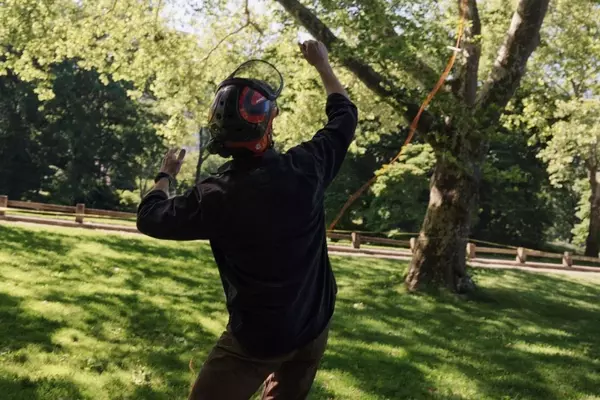 Central Park's Tree Care Team: Unexpected Social Media Stars