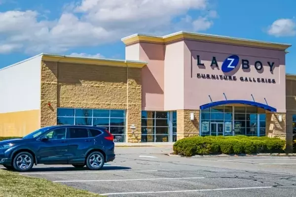 La-Z-Boy: A Robust Enterprise Amidst Industry Challenges