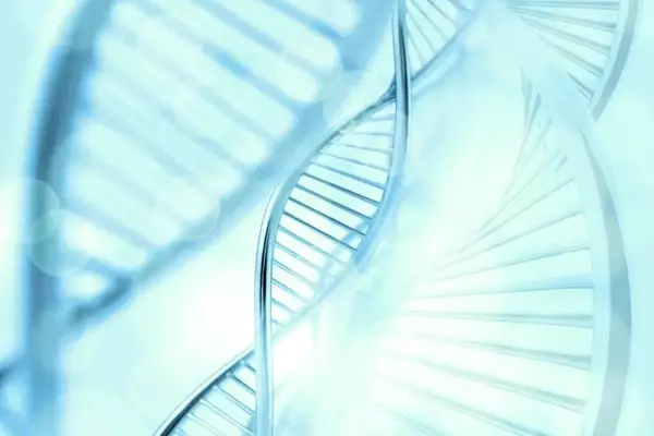 H.C. Wainwright Maintains 'Buy' for Structure Therapeutics (GPCR)