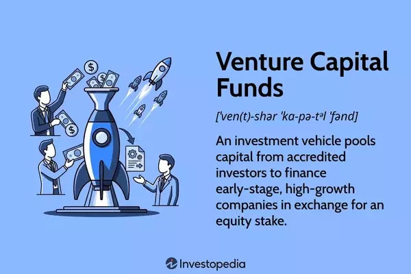Understanding Venture Capital Funds: Structure, Operations, and Returns