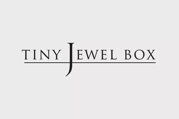 Tiny Jewel Box Appoints Barry Pava as Executive Vice President