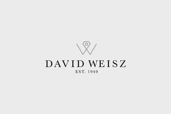 David Weisz Unveils Nurit Collection and Expands Eternity Hoops Line
