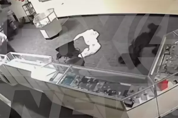 Jewelry Store Thefts Rock US States