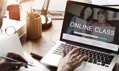 The Structure and Pedagogical Foundations of Online English Language Learning