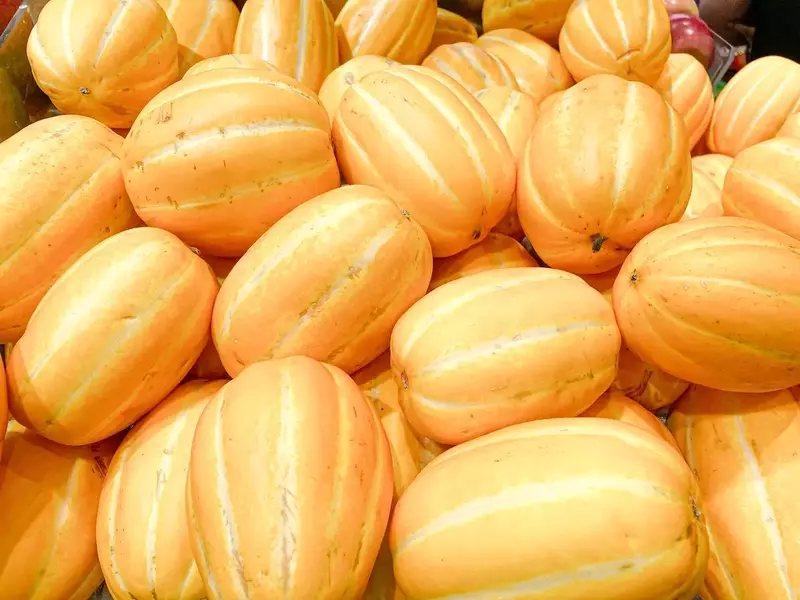 How to Select the Perfect Ripe Melon Using Your Senses