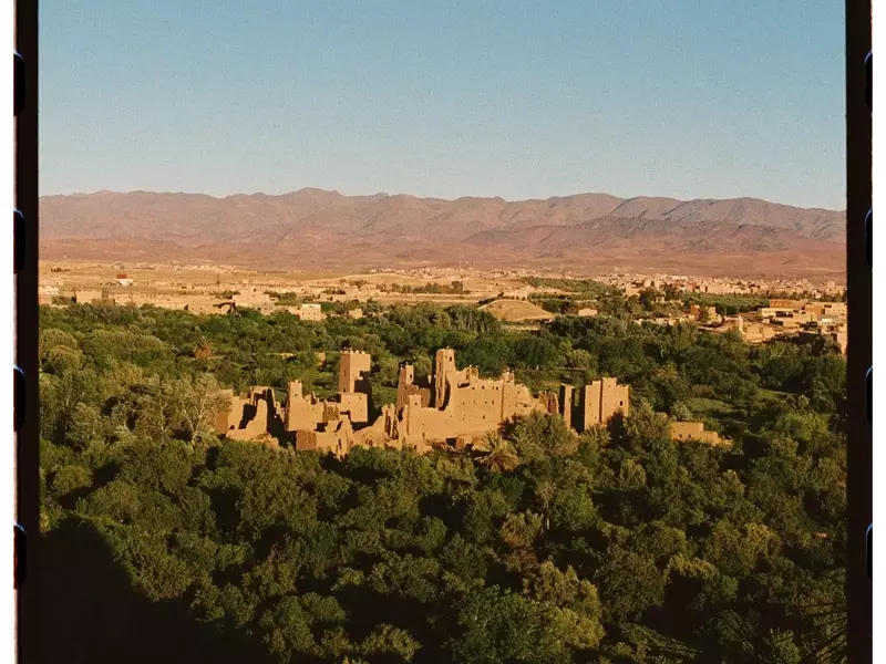 The Enduring Tradition and Evolving Future of Morocco's Rose Valley